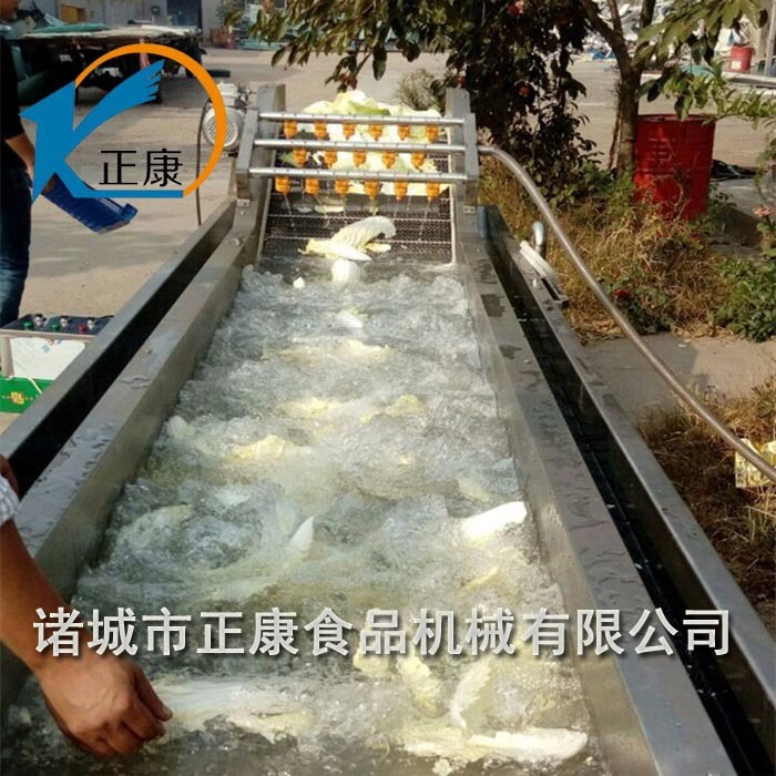 蔬菜清洗除雜生產(chǎn)線(xiàn)